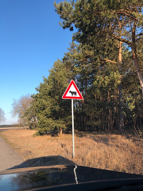 Verkehrsschild mit Achtung Kuh
