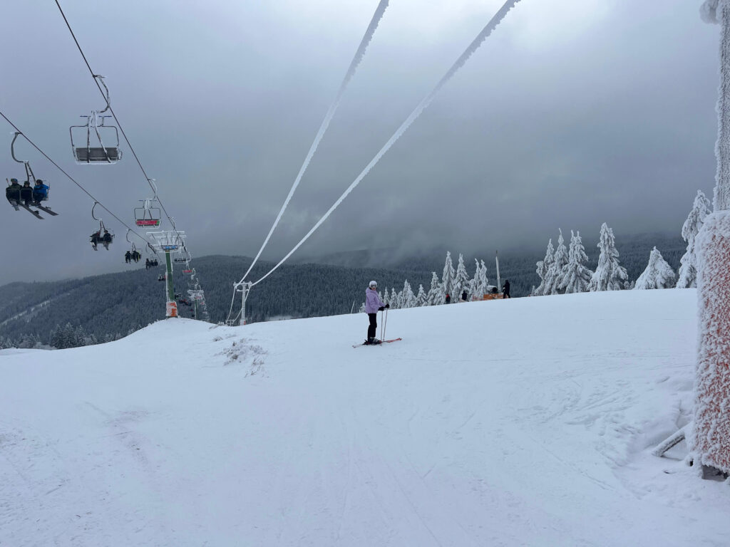 Skifahrerin im Nebel
